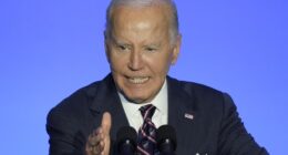 Joe Biden, the Incredible Shrinking President