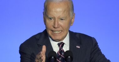 Joe Biden, the Incredible Shrinking President