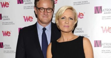 Joe Scarborough Is Having a Mental Breakdown, Lashes Out at Audience Over Trump Meeting