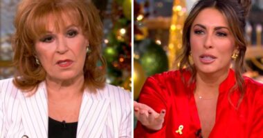 Joy Behar And Alyssa Farah Griffin Spar Over Healthcare On ‘The View’: “Obamacare Ain’t Perfect”