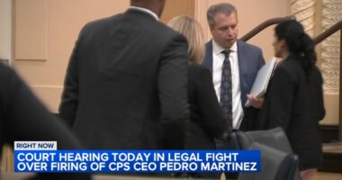 Judge grants fired Chicago Public Schools, or CPS, CEO Pedro Martinez restraining order in case against board