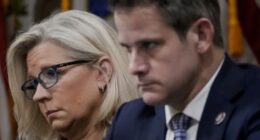 KARMA IS COMING: House GOP Demands FBI Investigate Liz Cheney