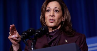 Kamala Harris and Biden stay in Washington DC after canceling Christmas trips as threat of government shutdown looms