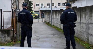 Knife attack in Croatian school leaves 7-year-old dead, 6 people wounded, police say