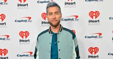 Lance Bass Says His CW Pilot Was Cancelled After He Came Out