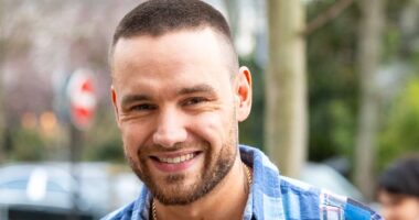 Liam Payne's loved ones 'are meeting with Netflix to discuss airing his TV show' but bosses insist 'the family's approval is crucial' after his death