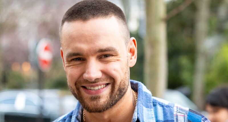 Liam Payne's loved ones 'are meeting with Netflix to discuss airing his TV show' but bosses insist 'the family's approval is crucial' after his death