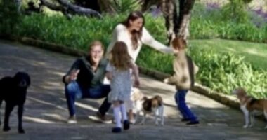 Lilibet's flowing long hair steals the show in Harry and Meghan's new holiday card after proud dad revealed she has been 'blessed with her mother's thick hair'