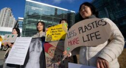 Limit on plastic production still under debate as treaty talks come to a close