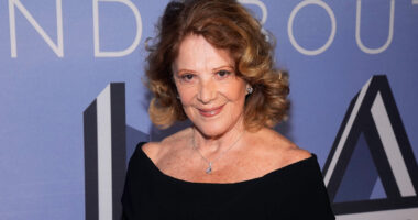 Linda Lavin, star of hit TV series 'Alice' and Tony Award-winning Broadway actress, dies at 87