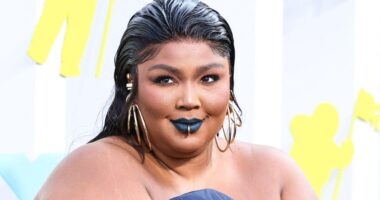 Lizzo Scores Major Legal Victory As She's Dismissed From Her Ex-Employee's Harassment Lawsuit