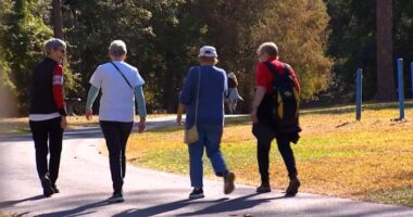 📚Love reading, nature? This Florida book club takes the library outdoors