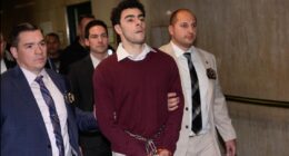 Luigi Mangione pleads not guilty to state murder and other charges in United Healthcare CEO's death