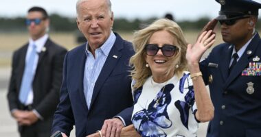 MAUREEN CALLAHAN: The terrifying scandal is that Biden was NEVER president. The full truth about the cover-up, Bad Doctor Jill and all the enemies within must be exposed