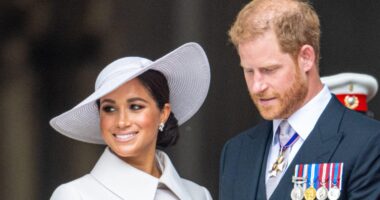 Meghan Markle's Montecito Neighbor Slams The Duchess For Not Getting 'Involved With The Community'