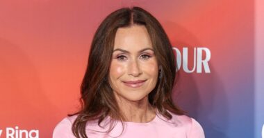 Minnie Driver Wonders If Celebs Are Getting 'New Faces' for the Holidays