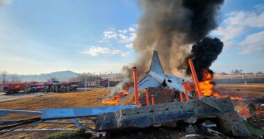 Minute-by-minute breakdown of South Korea plane crash from ‘bird strike’ to mayday call & fireball that killed 179