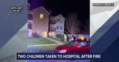 Mom allegedly left young kids in apartment that caught fire