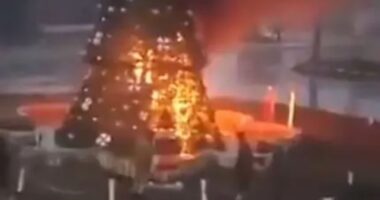 Moment Christmas tree is BURNED DOWN during Islamist protests in Syria amid fears for Christians after fall of Assad