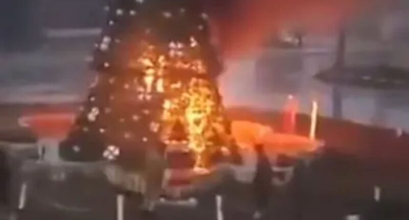 Moment Christmas tree is BURNED DOWN during Islamist protests in Syria amid fears for Christians after fall of Assad