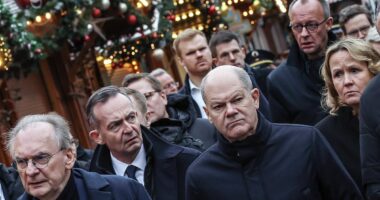 Moment German chancellor Olaf Scholz is heckled by angry mob in Magdeburg as questions remain over 'warnings about Christmas market attack suspect'