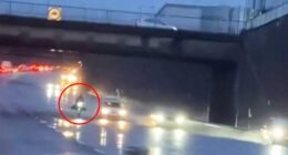 Moment masked idiot risks their life riding 10mph e-scooter on MOTORWAY during Storm Darragh