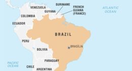 More than 30 dead in Brazil bus and truck collision