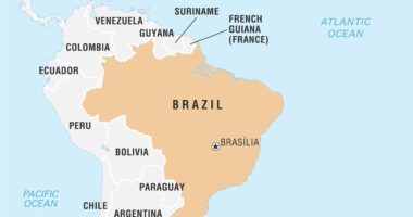 More than 30 dead in Brazil bus and truck collision