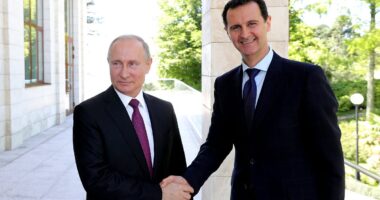 Moscow confirms it smuggled Assad out of Syria and shares details of his escape to Russia