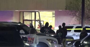 Texas law enforcement fatally shot a fleeing motorist who drove a pickup into a JCPenney at a busy shopping mall Saturday, injuring five bystanders, authorities said.