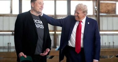 Musk and Trump are viewed roughly the same by Americans, an AP-NORC poll finds