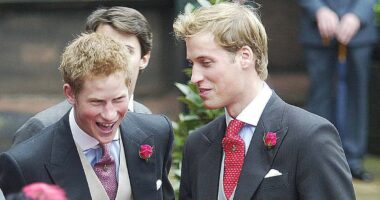 My never-before-seen pictures of William and Harry reveal a tragic truth... and if the warring brothers will ever reconcile