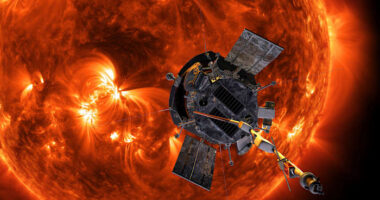 NASA's Parker Solar Probe survives close brush with the sun's scorching surface