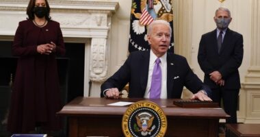 NEW: Extensive COVID-19 Origins Cover-Up Revealed, and the Biden Admin Was Pulling the Strings