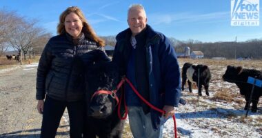 NJ couple describes seeing mysterious aircraft amid bizarre phenomenon: 'We need to know'