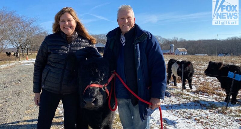 NJ couple describes seeing mysterious aircraft amid bizarre phenomenon: 'We need to know'