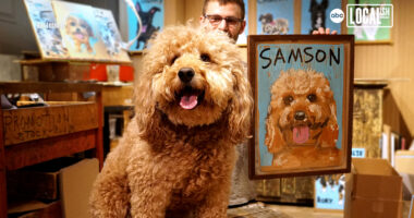 NYC artist captures whimsical side of your pet