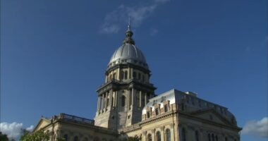 New Illinois laws 2025: AI regulation, health insurance overhaul, minimum wage increase, canceling online subscriptions and more