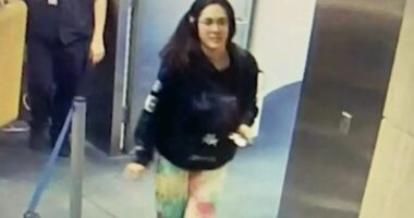 New twist in Hannah Kobayashi case as cops reveal missing woman was spotted alive on CCTV going into Mexico