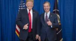 Nigel Farage offers to act as a ‘bridge’ between new US ambassador Peter Mandelson and Donald Trump