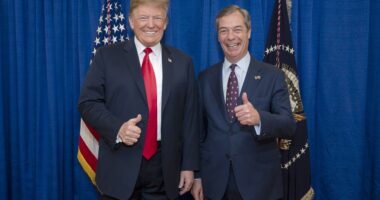 Nigel Farage offers to act as a ‘bridge’ between new US ambassador Peter Mandelson and Donald Trump