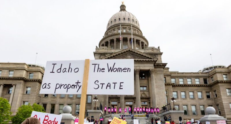 Ninth Circuit sides with Idaho 'abortion trafficking' law