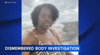 Norbert Matara arrested after dismembered body found in Aberdeen, MD ID'd as Tracy Nyariki, missing woman of Newark, DE