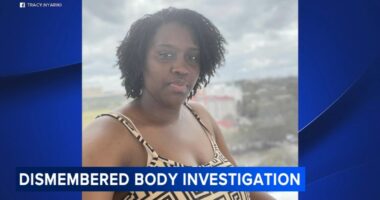 Norbert Matara arrested after dismembered body found in Aberdeen, MD ID'd as Tracy Nyariki, missing woman of Newark, DE