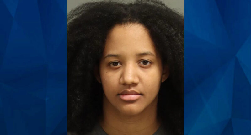 North Carolina Mom Charged With Punching 6-Week Old Infant, Leaving Baby in Car While She Works