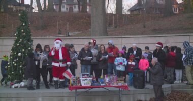 Northeast Ohio's Syrian community gathers at Cleveland Cultural Gardens to celebrate the end of the Assad regime