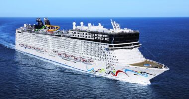 Norwegian Cruise ship 'man overboard' sparks frantic search as horrified passengers watch chaos unfold