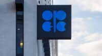 OPEC+ oil producers' alliance postpones production increases as crude prices stagnate