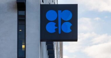 OPEC+ oil producers' alliance postpones production increases as crude prices stagnate