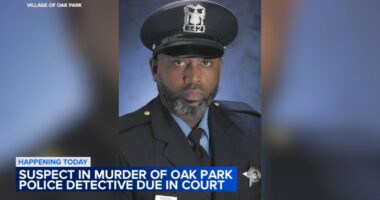 Oak Park shooting: Jerell Thomas accused of shooting, killing Detective Allan Reddins due in court Thursday